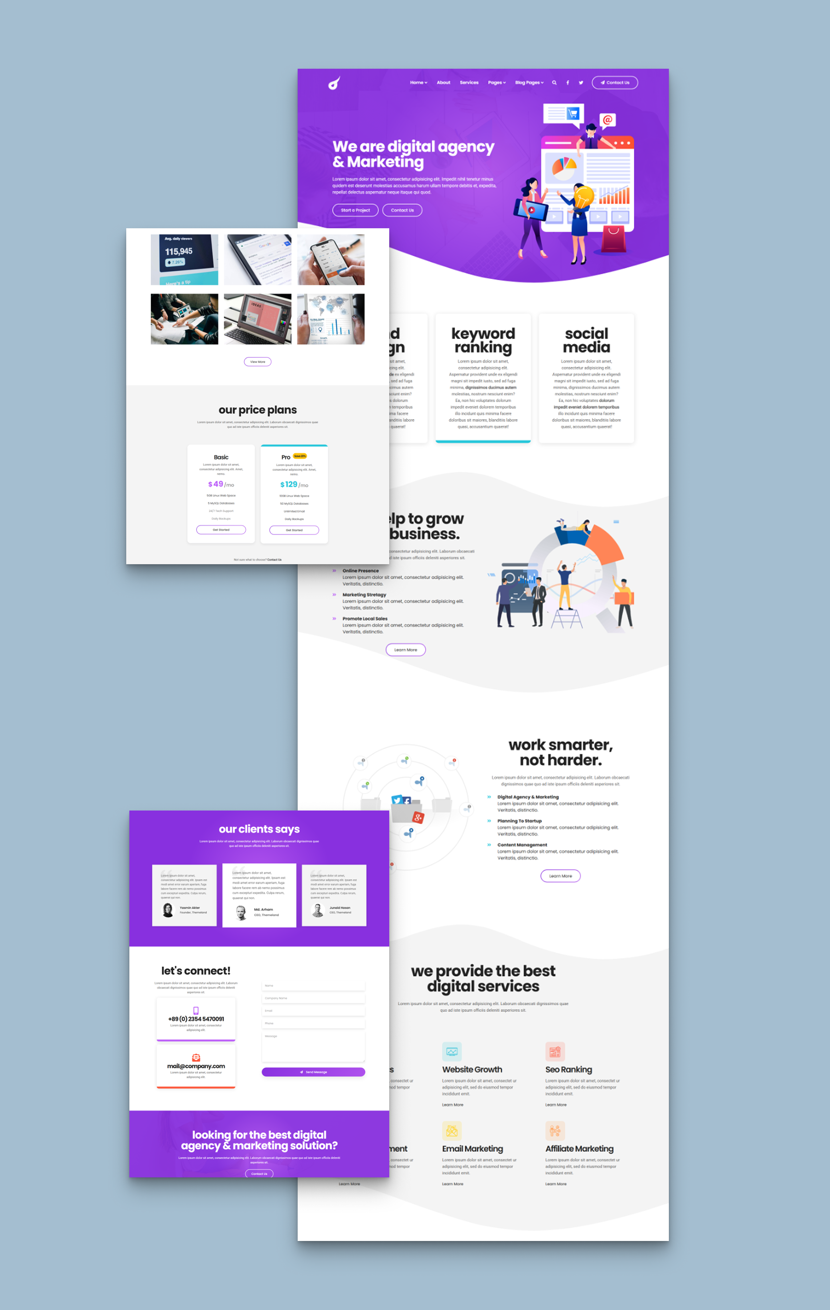 portfolio